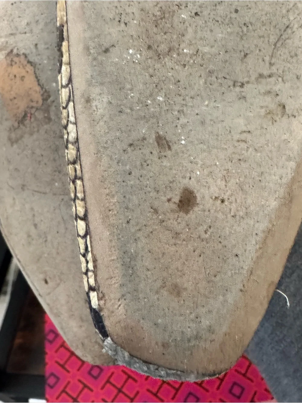 Tory Burch Snake-Print Chelsea Ankle Boots in Black and Beige